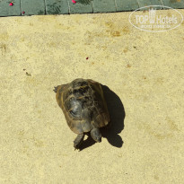 фото из отзыва ID 2735113