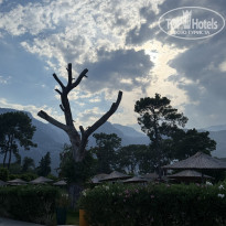 фото из отзыва ID 2735126