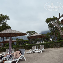 фото из отзыва ID 2735126