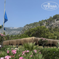 фото из отзыва ID 2735126