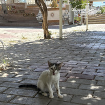 фото из отзыва ID 2735127