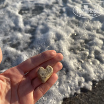 фото из отзыва ID 2735137