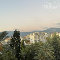 фото из отзыва ID 2735137