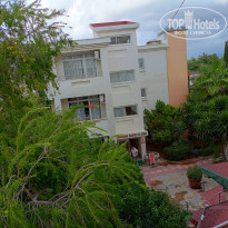 фото из отзыва ID 2734231