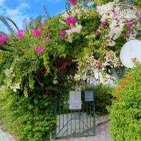 фото из отзыва ID 2734231