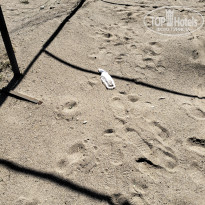 фото из отзыва ID 2734125