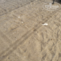 фото из отзыва ID 2734125