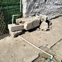 фото из отзыва ID 2734125