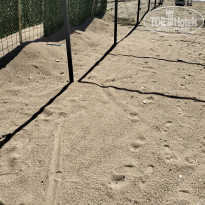 фото из отзыва ID 2734125