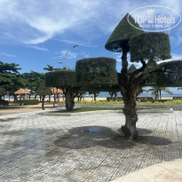 фото из отзыва ID 2735167