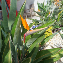 фото из отзыва ID 2735177