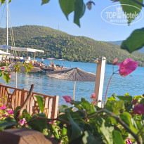 фото из отзыва ID 2735177