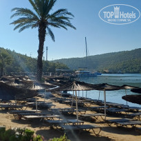 фото из отзыва ID 2735177