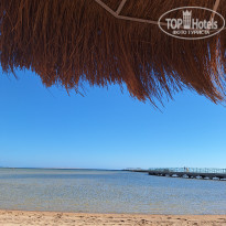 фото из отзыва ID 2735186