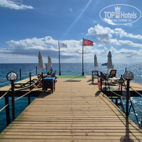 фото из отзыва ID 2735189