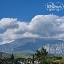 фото из отзыва ID 2735189