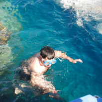 фото из отзыва ID 2735188