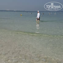 фото из отзыва ID 2735219