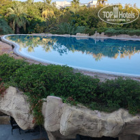 фото из отзыва ID 2735211