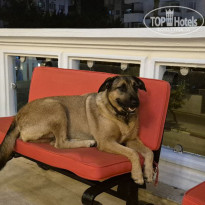 фото из отзыва ID 2735221