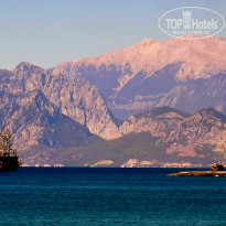 фото из отзыва ID 2735221