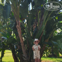 фото из отзыва ID 2735252