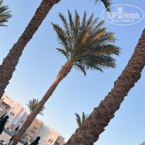 фото из отзыва ID 2735256