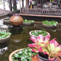 фото из отзыва ID 2735264