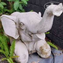 фото из отзыва ID 2735264