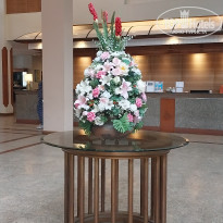 фото из отзыва ID 2735264