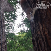 фото из отзыва ID 2735264