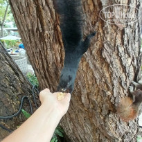 фото из отзыва ID 2735264