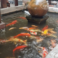 фото из отзыва ID 2735264