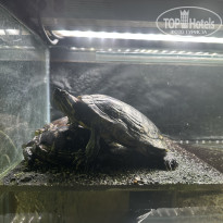 фото из отзыва ID 2734292