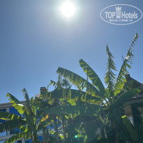 фото из отзыва ID 2734292