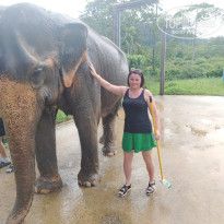 фото из отзыва ID 2735284