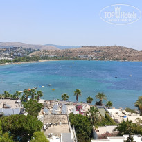 фото из отзыва ID 2735300