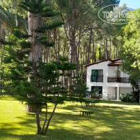 фото из отзыва ID 2735306