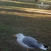 фото из отзыва ID 2735306