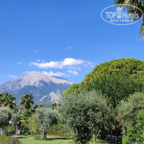 фото из отзыва ID 2735316