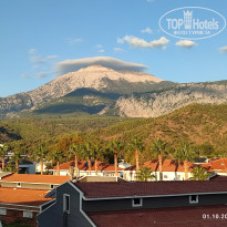 фото из отзыва ID 2735316