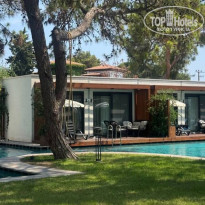 фото из отзыва ID 2735343