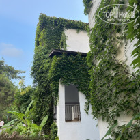 фото из отзыва ID 2735343