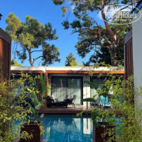 фото из отзыва ID 2735343