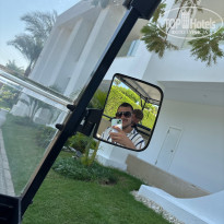 фото из отзыва ID 2735344