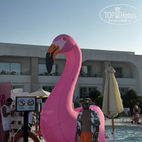 фото из отзыва ID 2735354