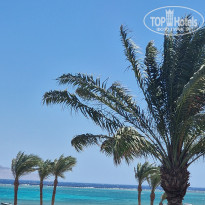 фото из отзыва ID 2735212