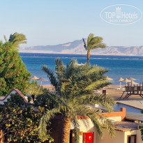 фото из отзыва ID 2735212