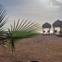 фото из отзыва ID 2735212