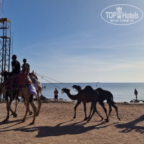 фото из отзыва ID 2735212